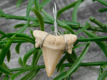SPECIAL JEWELRY SALE! SEE PHOTOS FOR DETAILS