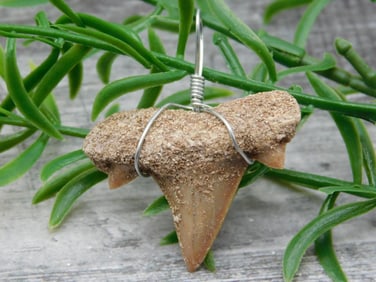 SPECIAL JEWELRY SALE! SEE PHOTOS FOR DETAILS