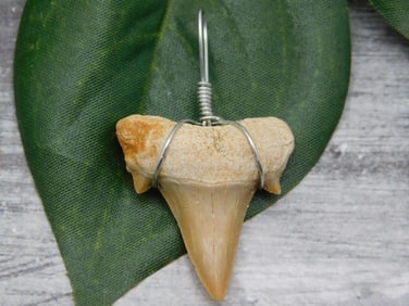 SPECIAL JEWELRY SALE! SEE PHOTOS FOR DETAILS