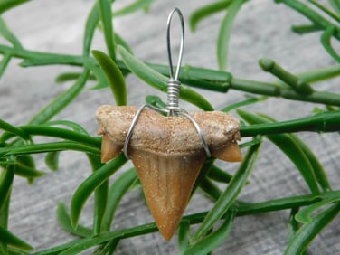 SPECIAL JEWELRY SALE! SEE PHOTOS FOR DETAILS