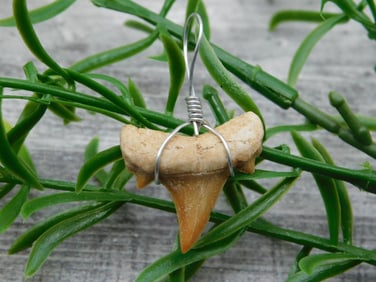 SPECIAL JEWELRY SALE! SEE PHOTOS FOR DETAILS