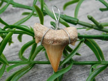 SPECIAL JEWELRY SALE! SEE PHOTOS FOR DETAILS