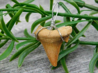SPECIAL JEWELRY SALE! SEE PHOTOS FOR DETAILS