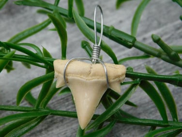 SPECIAL JEWELRY SALE! SEE PHOTOS FOR DETAILS