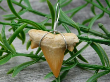 SPECIAL JEWELRY SALE! SEE PHOTOS FOR DETAILS