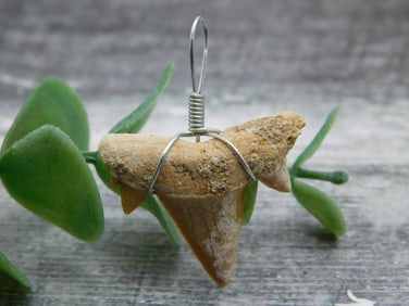 SPECIAL JEWELRY SALE! SEE PHOTOS FOR DETAILS