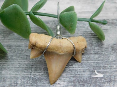 SPECIAL JEWELRY SALE! SEE PHOTOS FOR DETAILS
