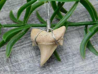 SPECIAL JEWELRY SALE! SEE PHOTOS FOR DETAILS