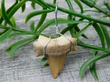 SPECIAL JEWELRY SALE! SEE PHOTOS FOR DETAILS