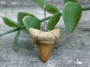 SPECIAL JEWELRY SALE! SEE PHOTOS FOR DETAILS