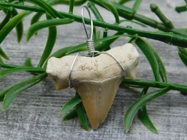 SPECIAL JEWELRY SALE! SEE PHOTOS FOR DETAILS