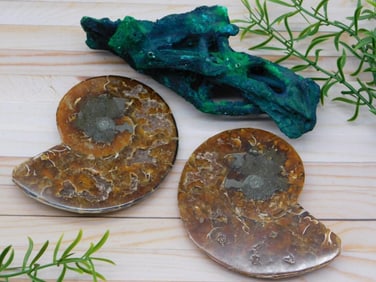 MIXED LOT ROCK STONE LAPIDARY SPECIMEN
