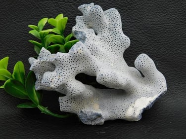 RARE BLUE CORAL ROCK STONE LAPIDARY SPECIMEN