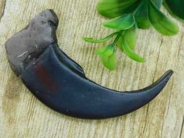 FAUX BEAR CLAW ROCK STONE LAPIDARY SPECIMEN
