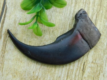 FAUX BEAR CLAW ROCK STONE LAPIDARY SPECIMEN