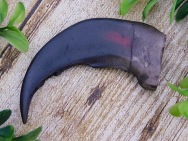 FAUX BEAR CLAW ROCK STONE LAPIDARY SPECIMEN