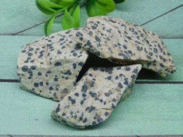 DALMATION JASPER ROCK STONE LAPIDARY SPECIMEN