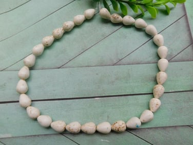 SHELL BEADS ROCK STONE LAPIDARY SPECIMEN