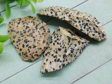 DALMATION JASPER ROCK STONE LAPIDARY SPECIMEN
