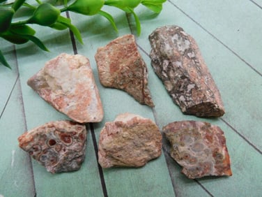 VIPER JASPER ROCK STONE LAPIDARY SPECIMEN