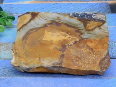 JASPER ROCK STONE LAPIDARY SPECIMEN