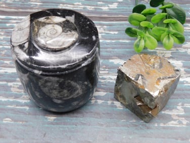 MIXED LOT ROCK STONE LAPIDARY SPECIMEN