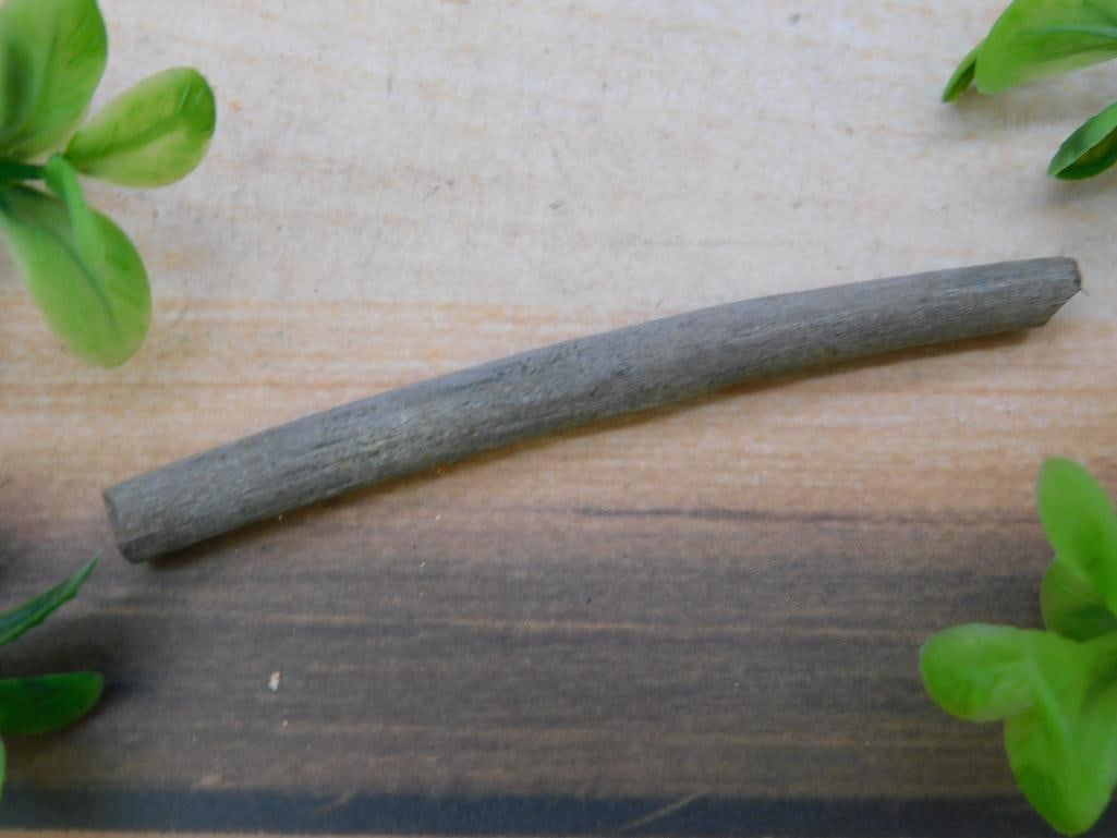 HADROSAUR TENDON FOSSIL ROCK STONE LAPIDARY SPECIMEN: HADROSAUR TENDON FOSSIL ROCK STONE LAPIDARY SPECIMEN