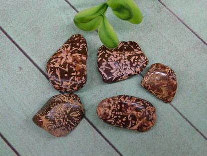 STARBURST JASPER ROCK STONE LAPIDARY SPECIMEN: STARBURST JASPER ROCK STONE LAPIDARY SPECIMEN