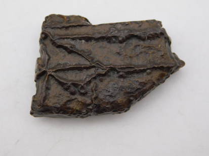 STROMATOLITE ROCK STONE LAPIDARY SPECIMEN: STROMATOLITE ROCK STONE LAPIDARY SPECIMEN