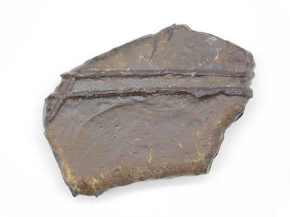 STROMATOLITE ROCK STONE LAPIDARY SPECIMEN: STROMATOLITE ROCK STONE LAPIDARY SPECIMEN