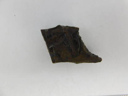 STROMATOLITE ROCK STONE LAPIDARY SPECIMEN: STROMATOLITE ROCK STONE LAPIDARY SPECIMEN