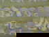 item-211095668=2