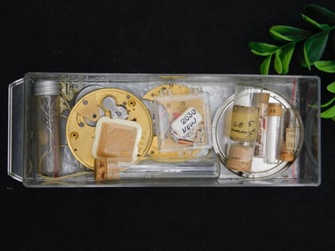 Watch Parts and Components in Storage Case WATCHMAKER WATCHMAKING TOOLS