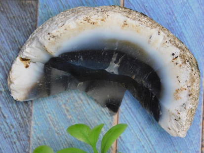 Agate PIECE with Blue and Black Hues ROCK STONE LAPIDARY SPECIMEN: - Banded agate slice featuring black, white, and blue hues. | - Polished front surface showcasing stunning natural patterns. | - Rough edge adds a natural aesthetic contrast. | - Approximately 3 inche