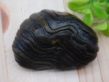 Polished Black Geological Specimen with Striations ROCK STONE LAPIDARY SPECIMEN