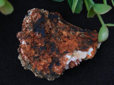 Reddish-Brown Rock Specimen with White Accents ROCK STONE LAPIDARY SPECIMEN