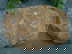 item-211096030=1