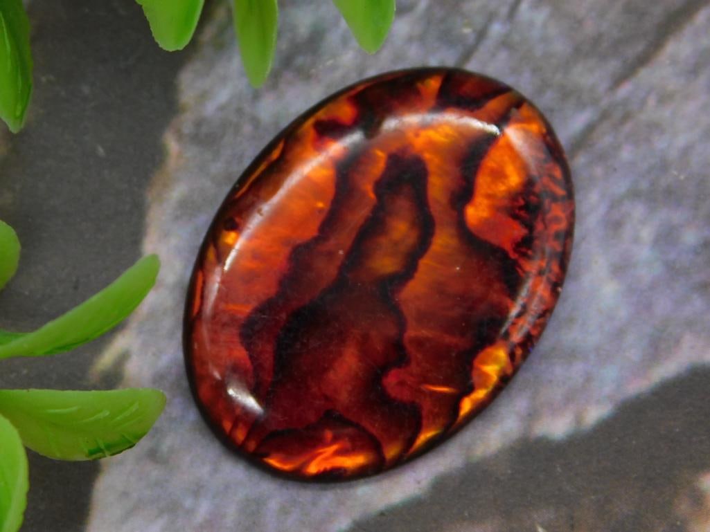 Oval-Shaped Abalone Gemstone Cabochon (1 of 2)