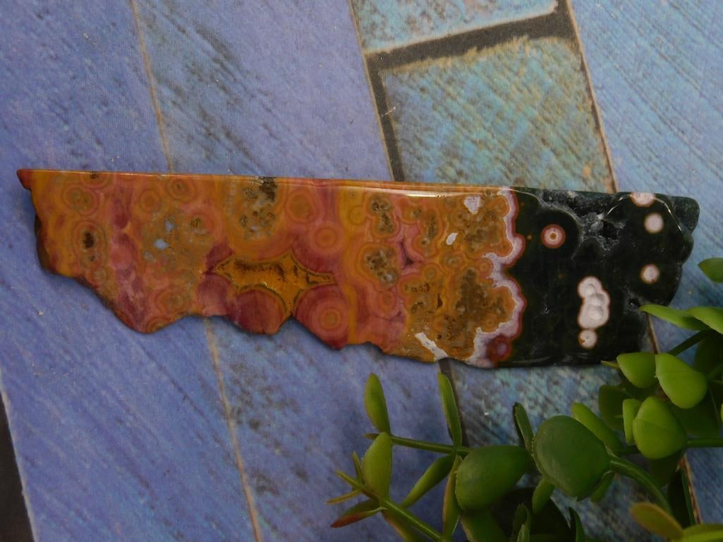 Ocean Jasper With Unique Patterns and Colors ROCK STONE LAPIDARY SPECIMEN (1 of 2)