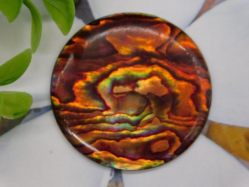 Abalone Cabochon ROCK STONE LAPIDARY SPECIMEN (1 of 2)
