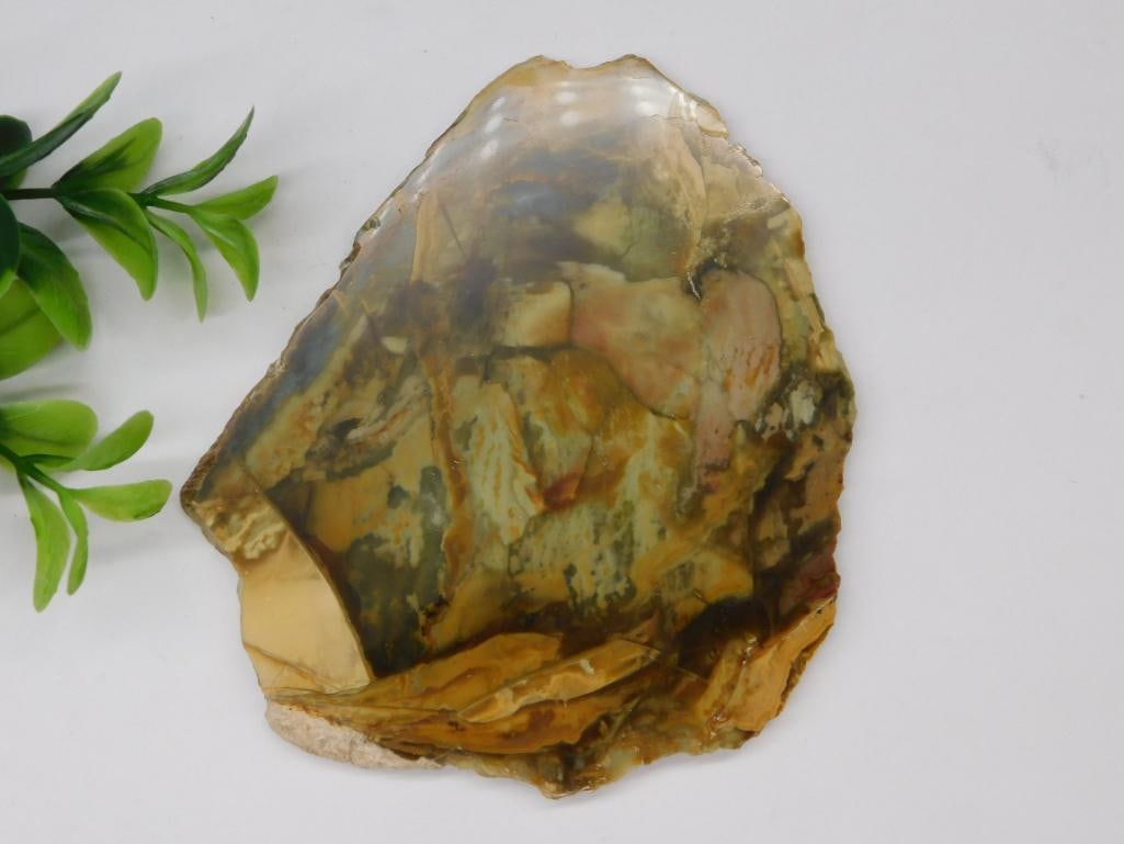 MORRISONITE JASPER SLAB ROCK STONE LAPIDARY SPECIMEN: MORRISONITE JASPER SLAB ROCK STONE LAPIDARY SPECIMEN