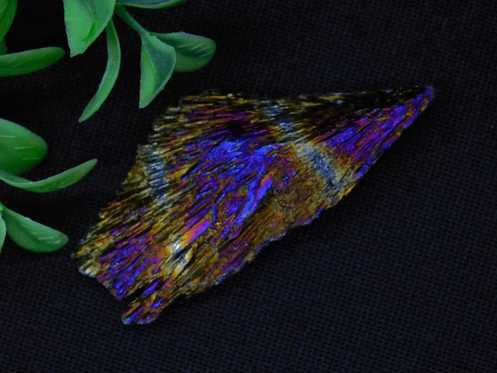 Rainbow Kyanite Rock Stone Lapidary Specimen: A polished opal specimen showcasing vibrant blue, purple, and golden hues. This piece has been cut and polished to highlight the colors and patterns. Includes a reference for size with a U.S. quarter