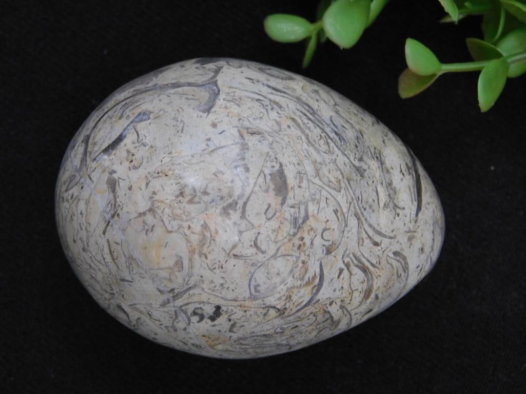Stone Egg Rock Stone Lapidary Specimen: Unique decorative egg crafted from fossilized limestone. | Features a natural marbled pattern with distinct fossil inclusions. | Smoothly polished finish, showcasing intricate details. | Comes with a