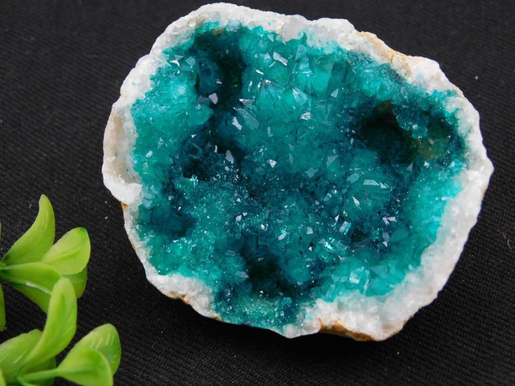 Vivid Blue-Green Quartz Geode Specimen Rock Stone Lapidary Specimen: Stunning quartz geode with vibrant blue-green interior. | Features crystal formations with a sparkling texture. | Natural outer shell contrasts beautifully with the inner gemstones. | Includes label i