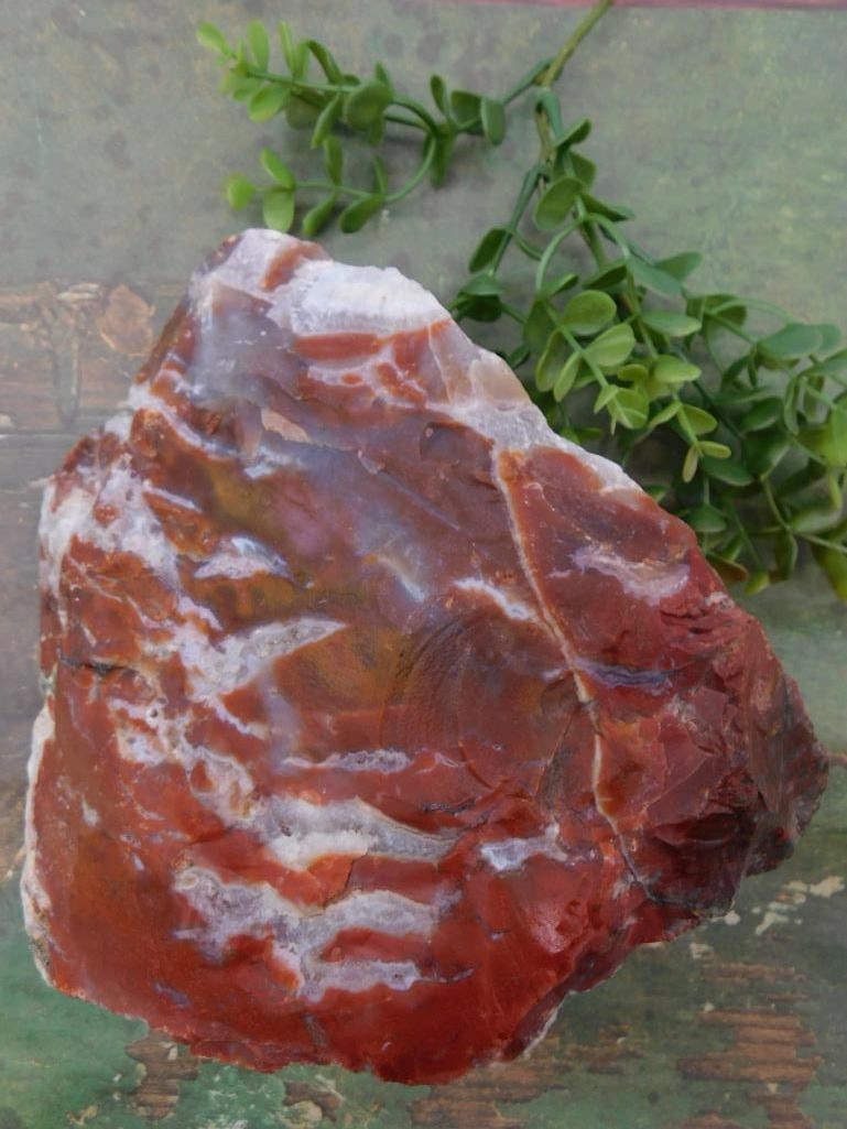 Large Red Agate Specimen ROCK STONE LAPIDARY SPECIMEN: natural agate specimen featuring red, beige, and white tones. | Multicolored streaks with a natural, irregular shape. | Smooth texture with visible banding unique to agate. | Weight: 502.9 grams as in
