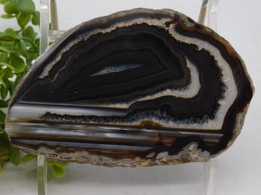 Black and White Agate Slice ROCK STONE LAPIDARY SPECIMEN