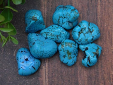 Turquoise Beads for Rock Auction ROCK STONE LAPIDARY SPECIMEN