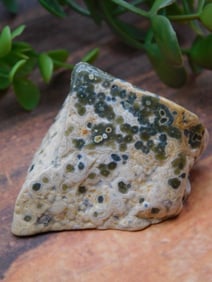 Ocean Jasper Specimen for Collectors ROCK STONE LAPIDARY SPECIMEN
