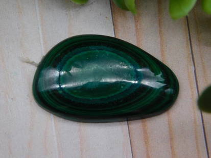 Malachite Cabochon Rock Stone Lapidary Specimen: malachite gemstone cabochon with vibrant banded green patterns. | Approximate size shown compared to a U.S. quarter for scale. | Weighs 8 grams based on auction tag. | Auction lot: 710487, included in