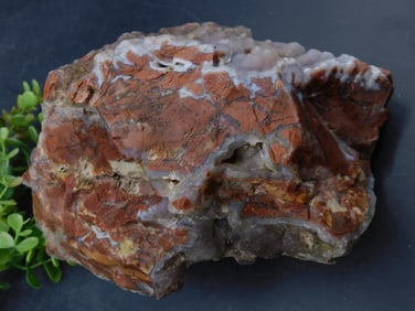 Youngite Rock Stone Lapidary Specimen